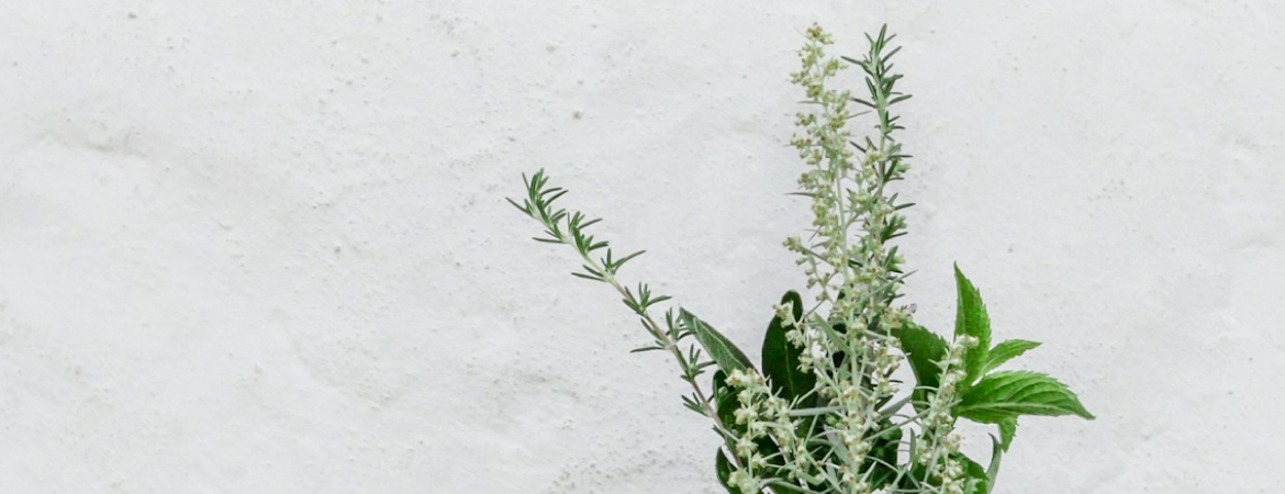 メインビジュアル4